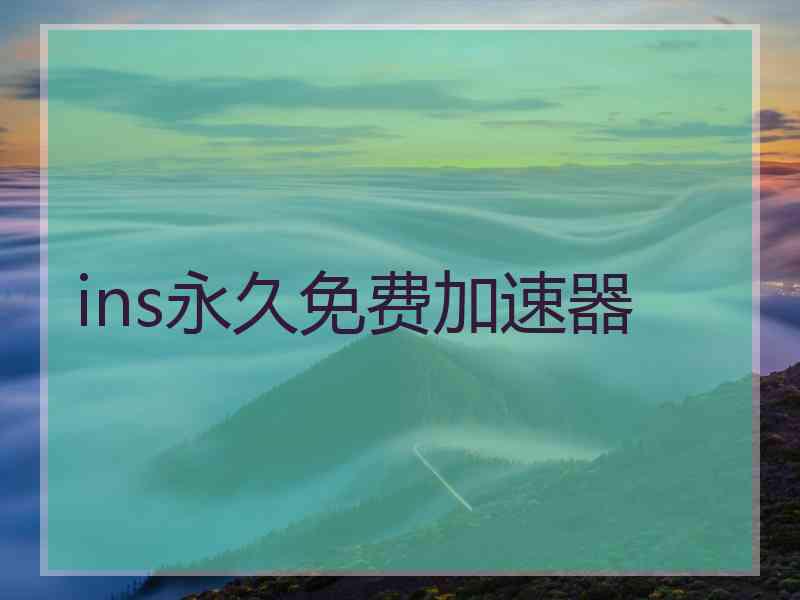 ins永久免费加速器