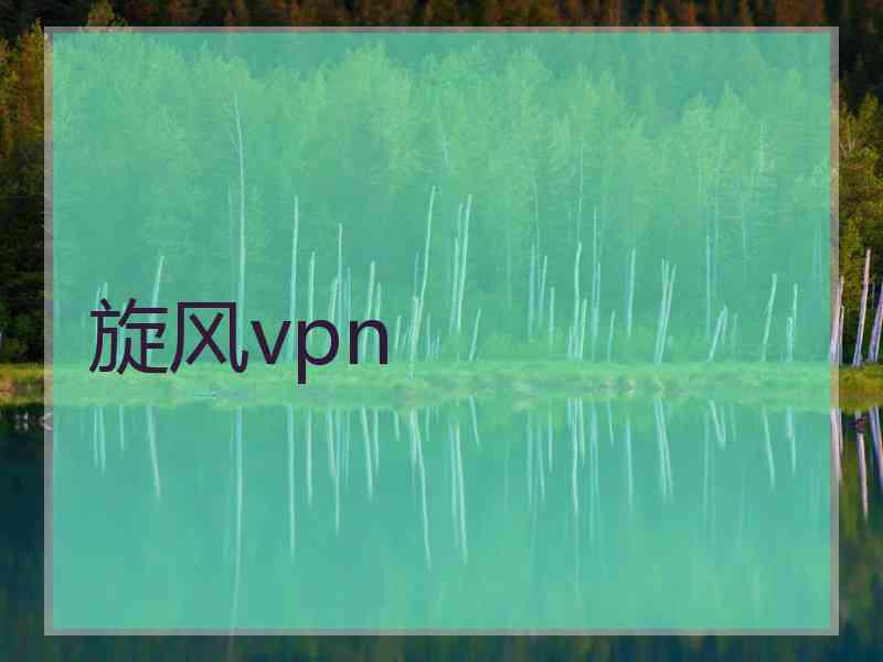 旋风vpn