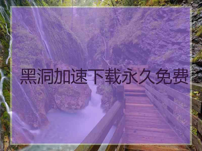 黑洞加速下载永久免费