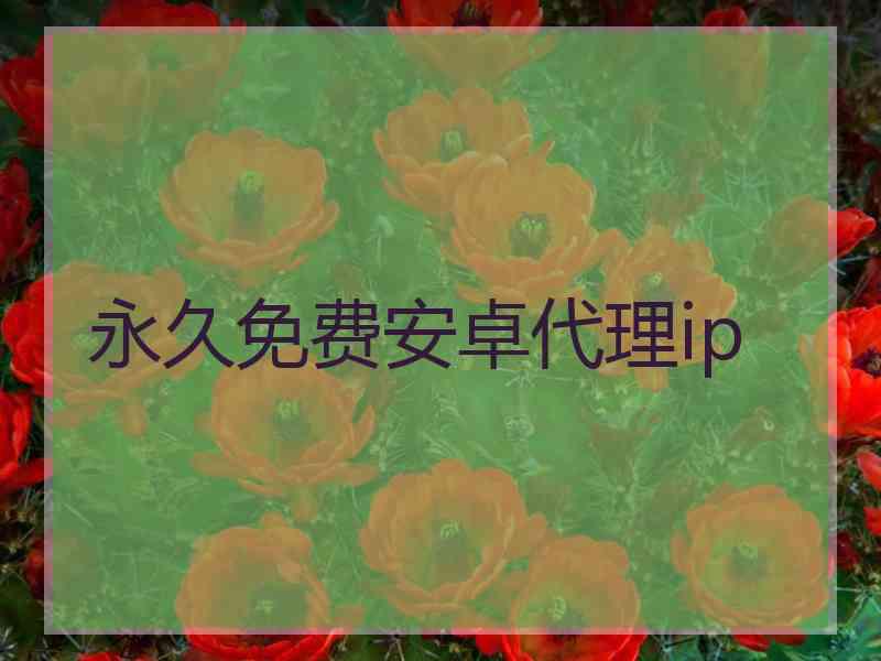 永久免费安卓代理ip