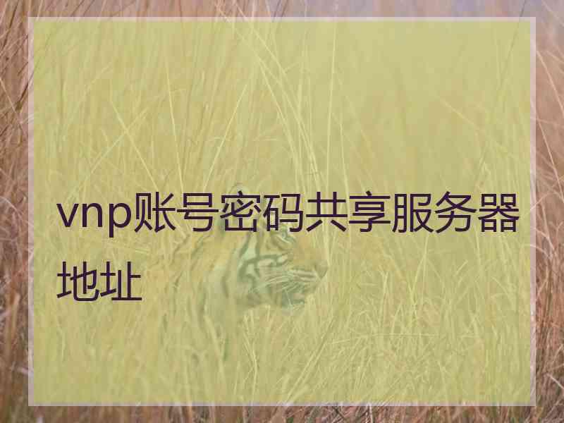 vnp账号密码共享服务器地址