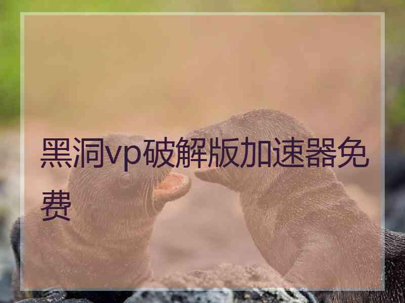 黑洞vp破解版加速器免费