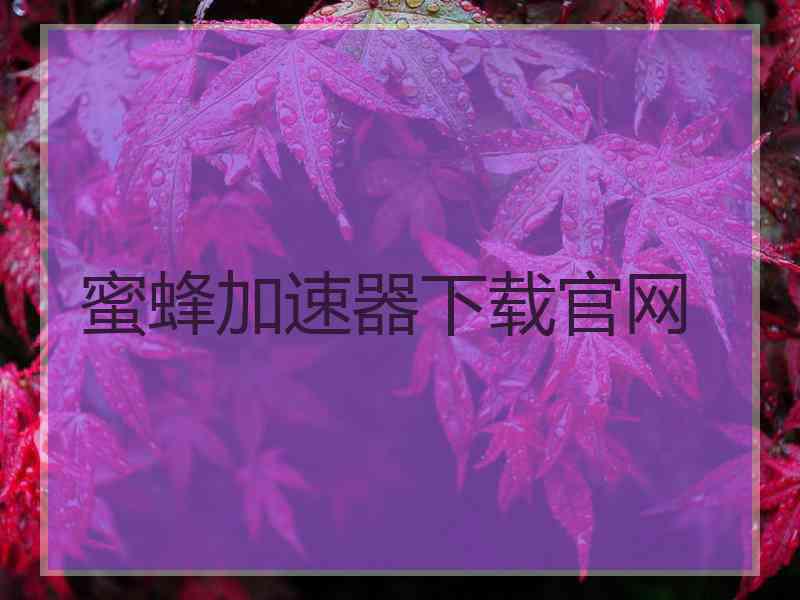 蜜蜂加速器下载官网